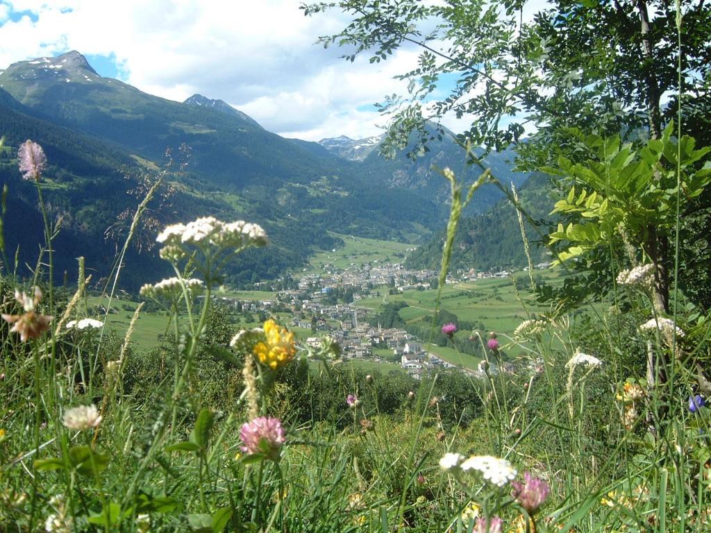 Albergo Croce Bianca Poschiavo Extérieur photo